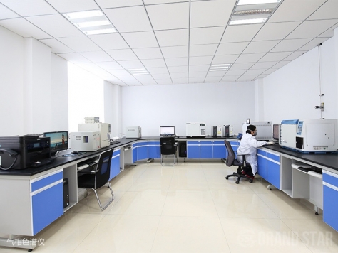 Gas Chromatograph